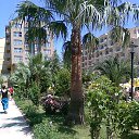 ���� ����, ���������, 60 ��� - ��������� 14 ��� 2013 � ������ ���� ����������