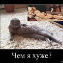 ���� ������, ������, 59 ��� - ��������� 17 ������� 2012 � ������ �������