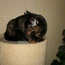 ���� �����, ��������� - ��������� 18 ������ 2012 � ������ ������� �� ...� �� ������