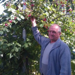 ������, �������������-����������, 65 ���