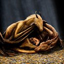 ���� �����, ������ ��������, 57 ��� - ��������� 25 ������ 2012 � ������ ���������