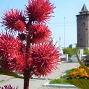 ���� �������, �������, 40 ��� - ��������� 7 ��� 2012 � ������ ��������