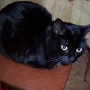 ���� ��������, ������, 52 ���� - ��������� 2 ������� 2010 � ������ �������