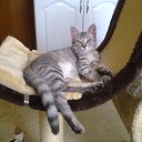 ���� �������, ����, 45 ��� - ��������� 19 �������� 2012 � ������ ���� ������� ����-������)))�