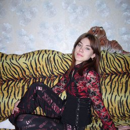 ���, 33 ����, �����������