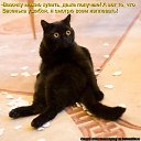 ���� ����, ����������� - ��������� 9 ������� 2010 � ������ ������� ���� �������)�