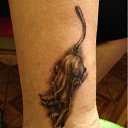  , -, 62  -  30  2012    