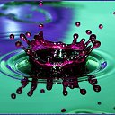 ���� ������, ������, 34 ���� - ��������� 26 ��� 2010 � ������ ����� � ��������