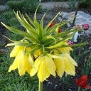 ���� ���������� ��, ����� - ��������� 3 ��� 2010 � ������ �1 ����