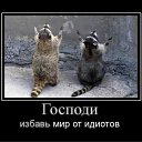  , , 85  -  15  2011   PetLove