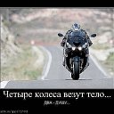 ���� �������, ���������, 42 ���� - ��������� 7 ���� 2013
