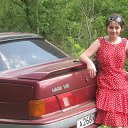 ���� �������, ��������, 53 ���� - ��������� 23 ���� 2013 � ������ ���� ����������