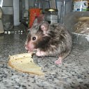 ���� (=����������=), ������, 31 ��� - ��������� 9 ������ 2012 � ������ �������(����) ��� ���� R.I.P.�