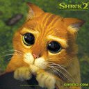 ���� ��������, �����-���������, 68 ��� - ��������� 22 ������ 2010 � ������ �������