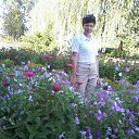 ���� ��������, ������� - ��������� 2 ������� 2012 � ������ ���� ����������