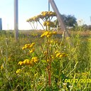 ���� *~Swetlana~*, �������, 25 ��� - ��������� 30 ���� 2013 � ������ ���� ����������