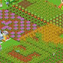 ���� �����-��������, ��������, 62 ���� - ��������� 26 ��� 2011 � ������ ������� �������