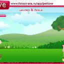  , -, 33  -  20  2010   PetLove