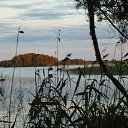 ���� �������, �����-���������, 43 ���� - ��������� 21 ���� 2008 � ������ �������