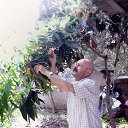 ���� Suleyman, ���������, 62 ���� - ��������� 24 ���� 2013