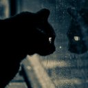   ( - !), , 59  -  19  2011   RoadKing