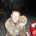  , -, 55  -  12  2013    