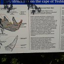 ���� �������, �����������, 74 ���� - ��������� 22 ���� 2012 � ������ ������� ���� 21.07.12�