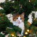 ���� ��� ����� :D, ����� - ��������� 30 ����� 2013 � ������ ������ ��������