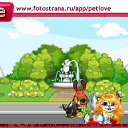  , -, 49  -  10  2010   PetLove