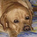 ���� ���, ������ - ��������� 18 ������� 2011 � ������ �������