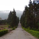 ������ � �������� ����� �� ����� �� ������� ���� ����������