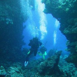 Irina Varsegova, ������, 49 ���