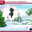 ���� ��������, ��������, 39 ��� - ��������� 13 ������� 2010 � ������ �PetLove�