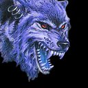  ,  , 42  -  22  2011