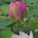 ���� ��������, �����������, 58 ��� - ��������� 1 ������ 2013