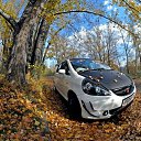 ���� Maestro, ���������, 37 ��� - ��������� 13 ��� 2012