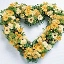 ���� �����, ������, 62 ���� - ��������� 14 ���� 2013 � ������ ���� ���������