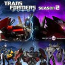 ���� �������, ������, 38 ��� - ��������� 28 ������ 2013 � ������ �Tropikania�