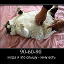 ���� Roxana, ɸ������� - ��������� 17 ��� 2010 � ������ �������������.�