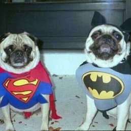 ���� ����, �����, 41 ��� - ��������� 14 ������� 2009