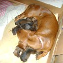 ���� ���7, ���������, 73 ���� - ��������� 2 ������ 2011 � ������ ���� ����������