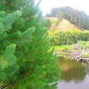 ���� Nik, ����, 36 ��� - ��������� 29 ������ 2012 � ������ ���� ����������