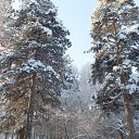 ���� �����, ��������� - ��������� 8 ������ 2013 � ������ �������