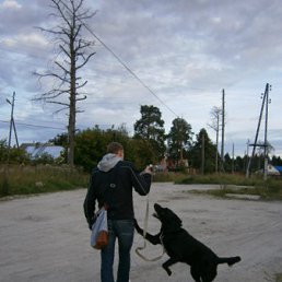 ���� ������, �����-���������, 36 ��� - ��������� 1 ���� 2012