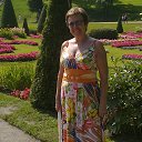  ,  , 66  -  14  2013    