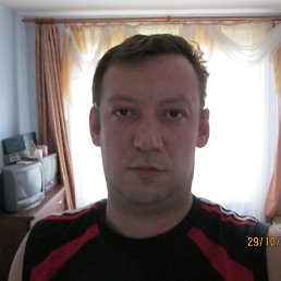 ���������, ������, 50 ���