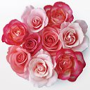 ���� ����� - ���������� ��������!!!, �����������, 56 ��� - ��������� 15 ������ 2010 � ������ ����ۻ