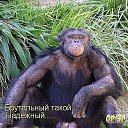 ���� �������, ������, 49 ��� - ��������� 24 ������� 2013 � ������ ���� ����������