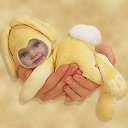 ���� ����, ������� ��������, 28 ��� - ��������� 17 ������ 2012 � ������ ���� ����������