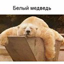 ���� ����, �������� - ��������� 19 ���� 2012
